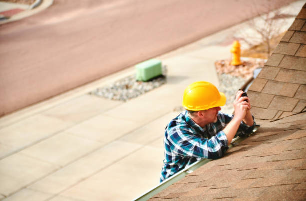 Best Roof Moss and Algae Removal  in Barton Creek, TX