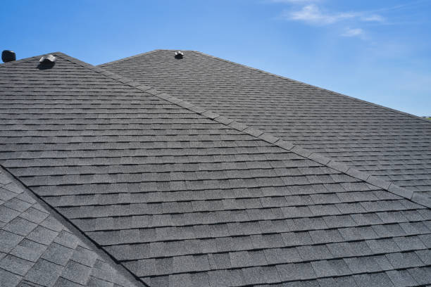Best Skylight Installation and Repair  in Barton Creek, TX