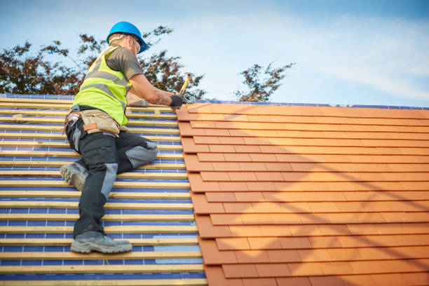 Best Roof Insulation Installation  in Barton Creek, TX